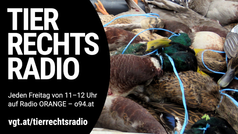 Bild zu dieser Radiosendung