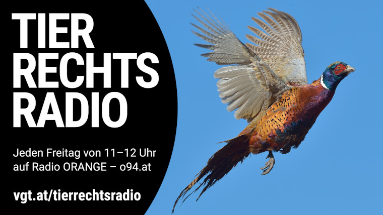 Bild zu dieser Radiosendung