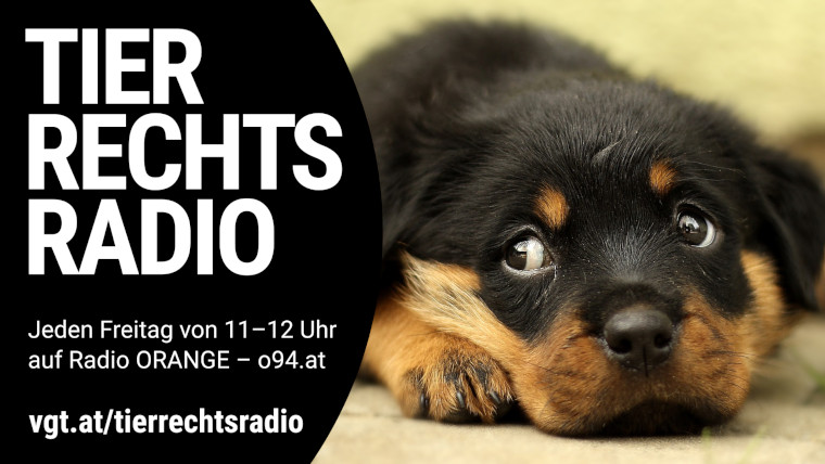 Bild zu dieser Radiosendung