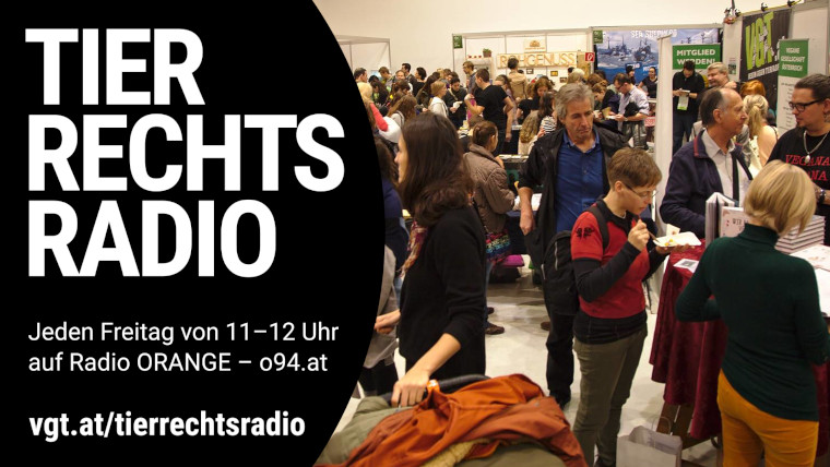 Bild zu dieser Radiosendung