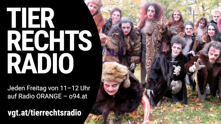 Bild zu dieser Radiosendung