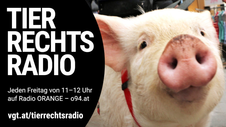 Bild zu dieser Radiosendung