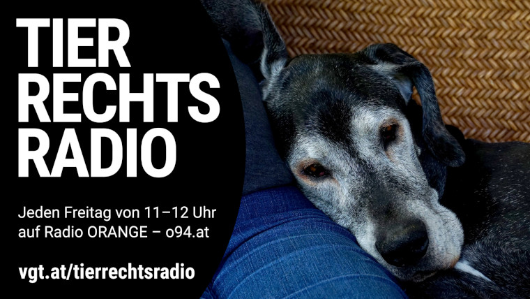 Bild zu dieser Radiosendung