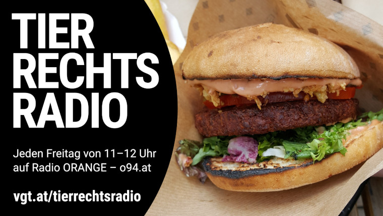 Bild zu dieser Radiosendung