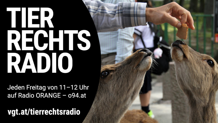 Bild zu dieser Radiosendung