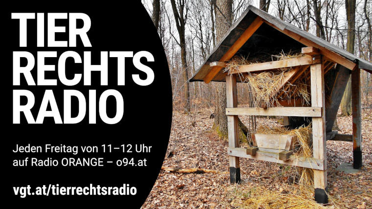 Bild zu dieser Radiosendung