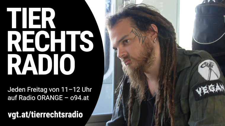 Bild zu dieser Radiosendung