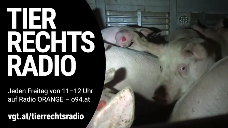 Bild zu dieser Radiosendung