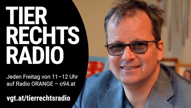 Bild zu dieser Radiosendung