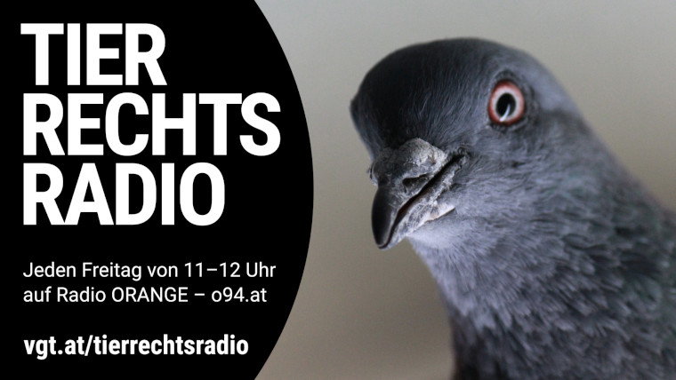 Bild zu dieser Radiosendung