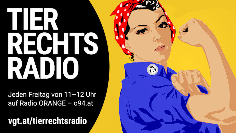 Bild zu dieser Radiosendung