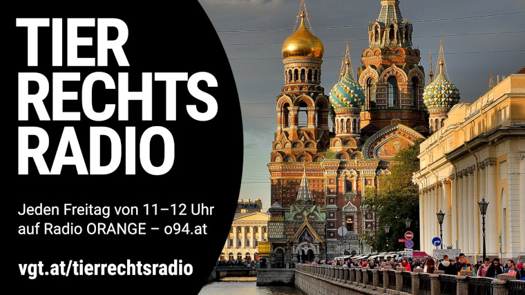 Bild zu dieser Radiosendung