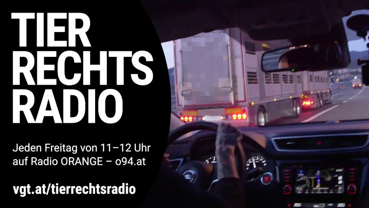Bild zu dieser Radiosendung