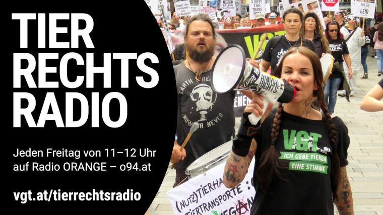 Bild zu dieser Radiosendung