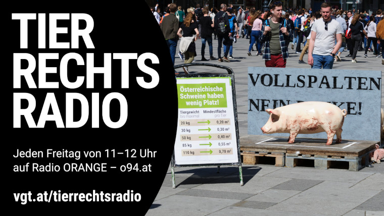 Bild zu dieser Radiosendung