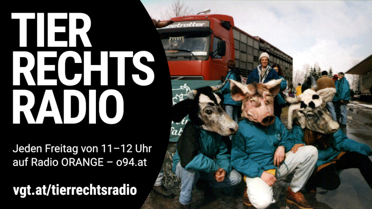 Bild zu dieser Radiosendung