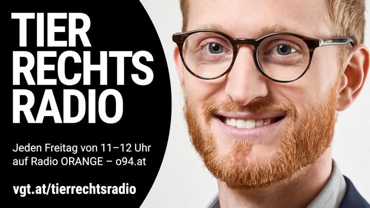 Bild zu dieser Radiosendung