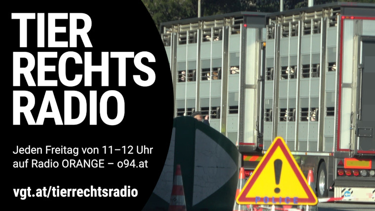 Bild zu dieser Radiosendung