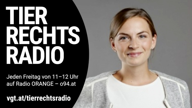 Bild zu dieser Radiosendung