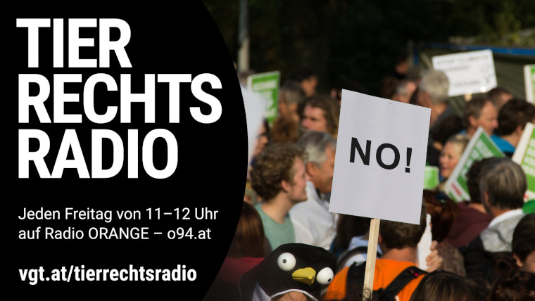 Bild zu dieser Radiosendung