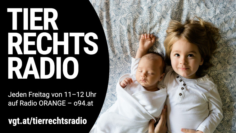 Bild zu dieser Radiosendung