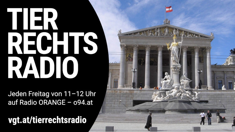 Bild zu dieser Radiosendung