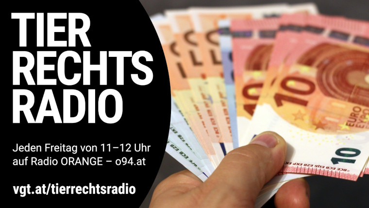 Bild zu dieser Radiosendung