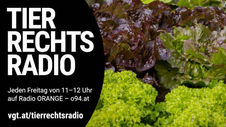 Bild zu dieser Radiosendung