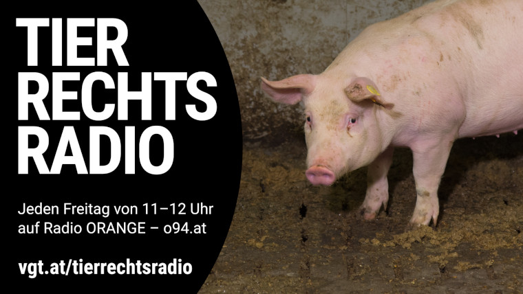Bild zu dieser Radiosendung