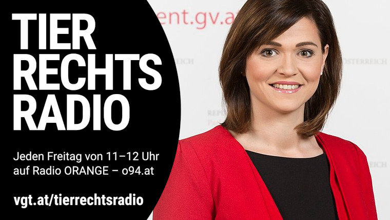 Bild zu dieser Radiosendung