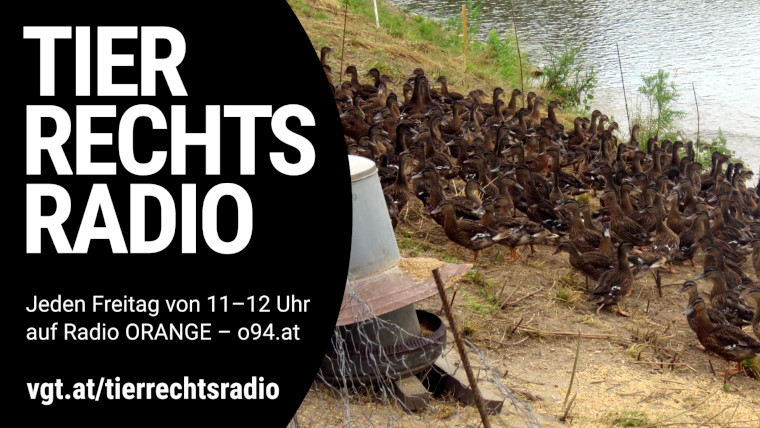 Bild zu dieser Radiosendung