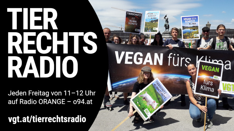 Bild zu dieser Radiosendung