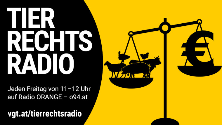 Bild zu dieser Radiosendung