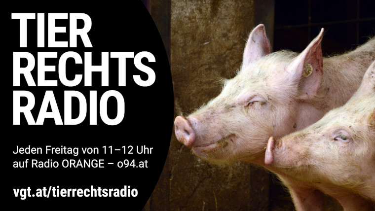 Bild zu dieser Radiosendung