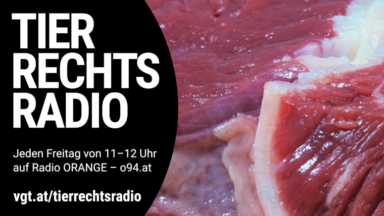 Bild zu dieser Radiosendung