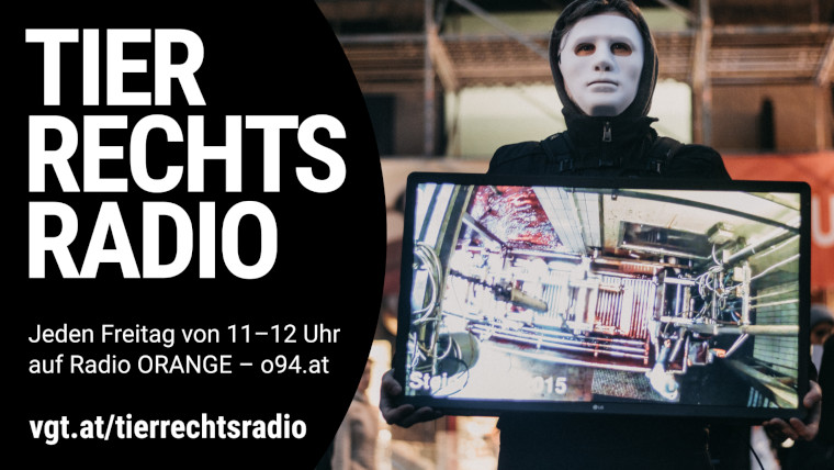 Bild zu dieser Radiosendung