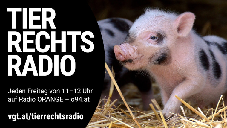 Bild zu dieser Radiosendung