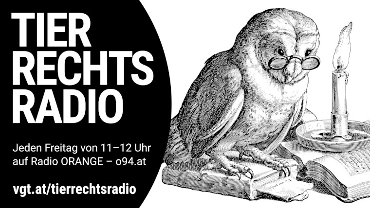Bild zu dieser Radiosendung