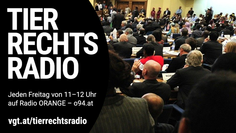 Bild zu dieser Radiosendung