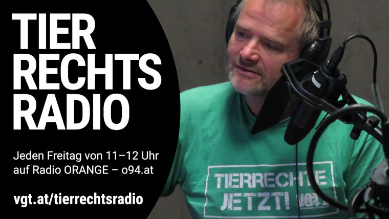 Bild zu dieser Radiosendung