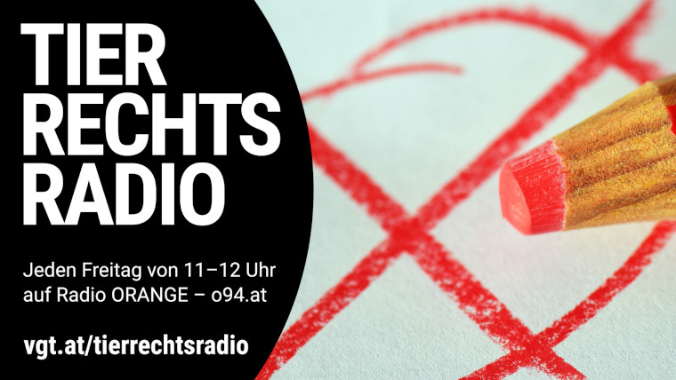 Bild zu dieser Radiosendung