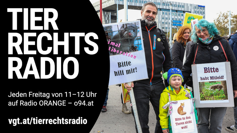 Bild zu dieser Radiosendung