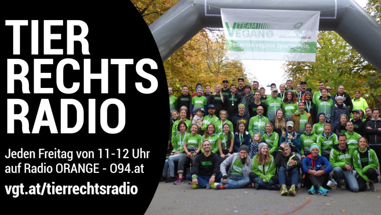 Bild zu dieser Radiosendung