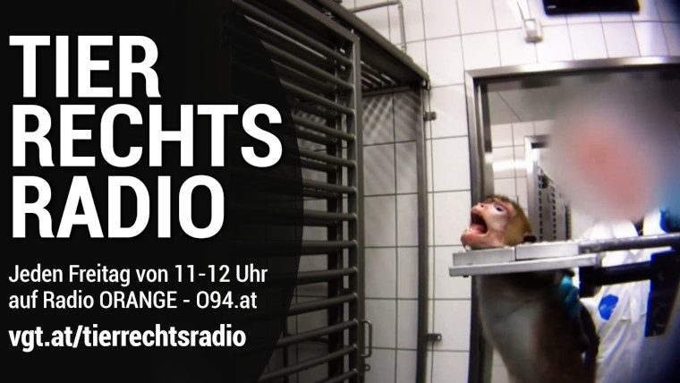 Bild zu dieser Radiosendung