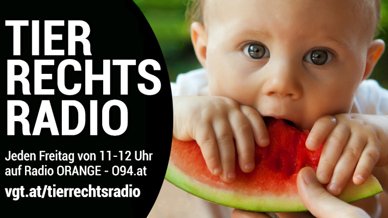 Bild zu dieser Radiosendung
