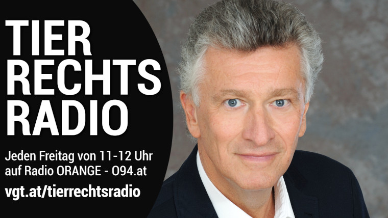 Bild zu dieser Radiosendung
