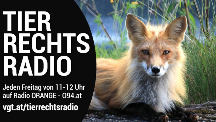 Bild zu dieser Radiosendung