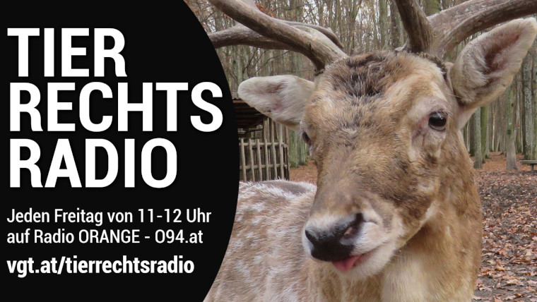 Bild zu dieser Radiosendung