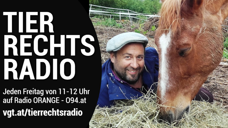 Bild zu dieser Radiosendung