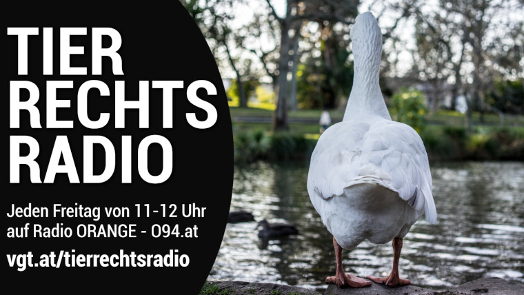Bild zu dieser Radiosendung